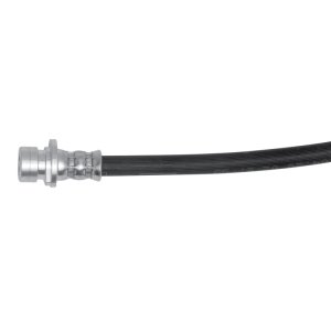 Honda Civic Brake Hose - Front - R1 Concepts - `17-`19
